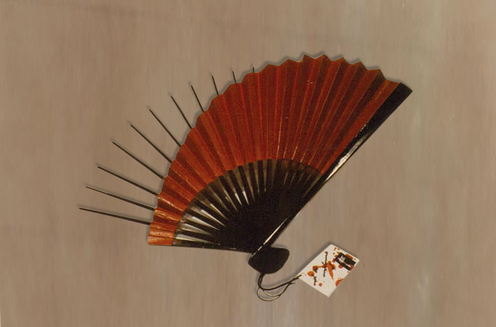 Japón — Eva Veldhoen