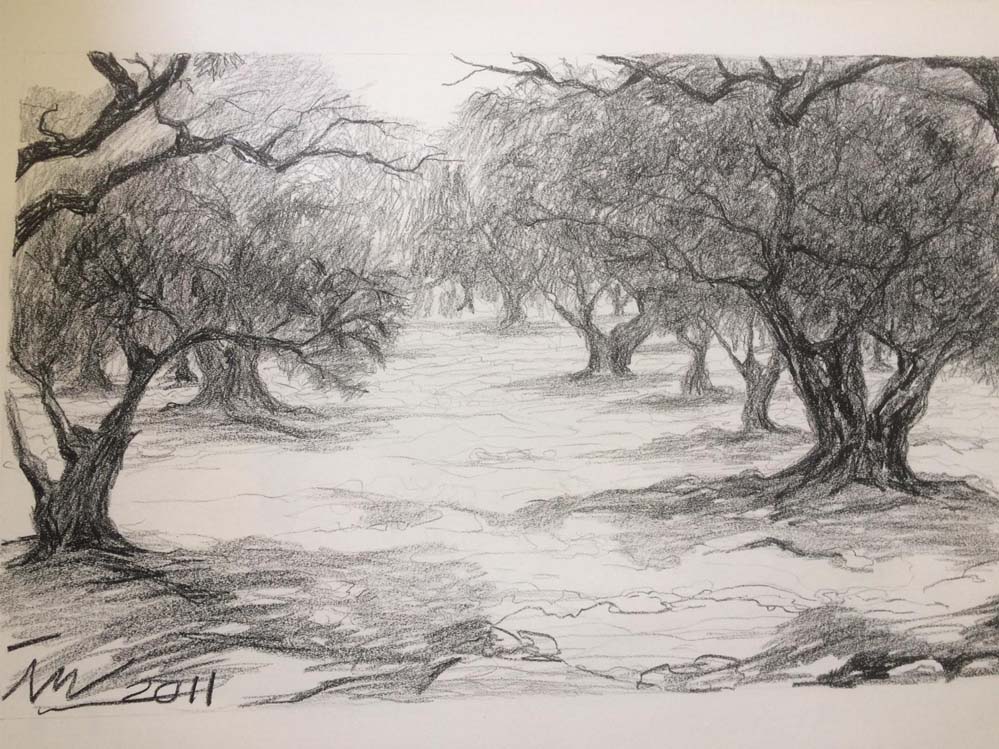 Olivos — Ineke van Wanrooy