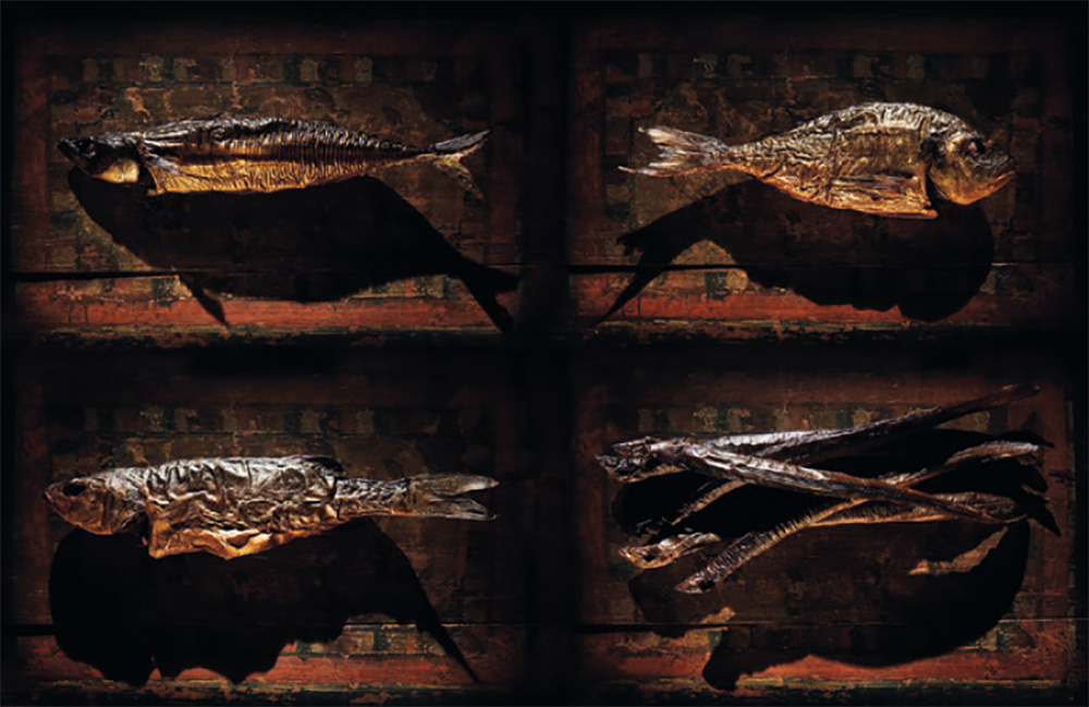 Pesca — Nico Kroon